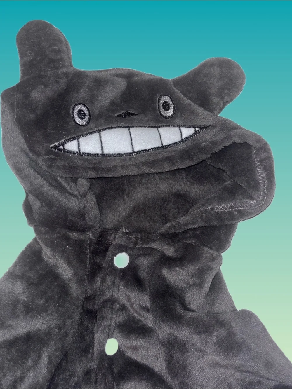 N/A adorable totoro